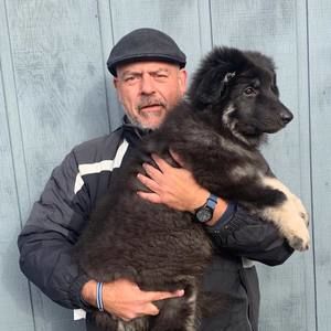 Meet your Posher, Joe